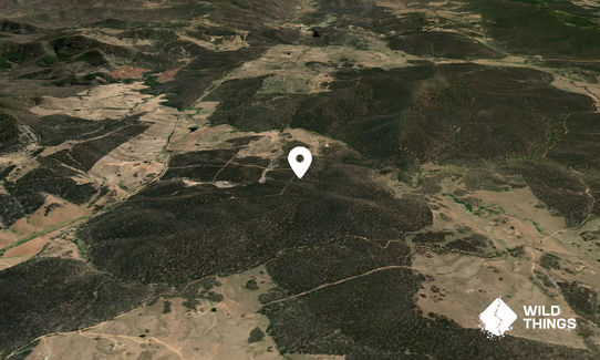Jinjera Hill