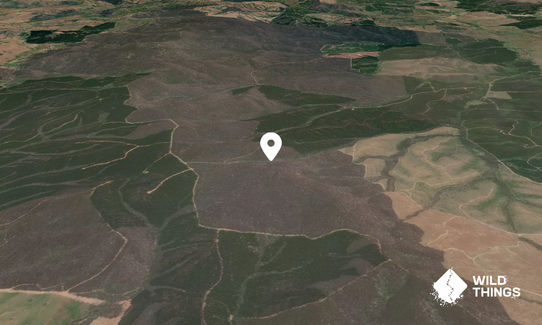Jocks Mountain