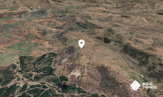 Kangaroo Mountain