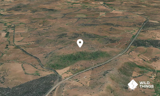 Kilgowla Mountain
