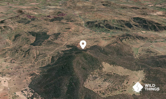 Minjary Mountain