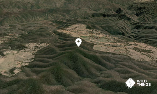Mount Alexander