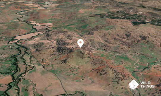 Mount Brae