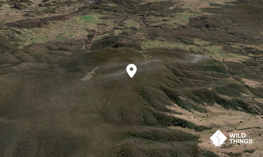 Mount Bullongong