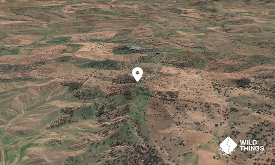Mount Bundarbo