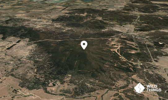 Mount Coghill