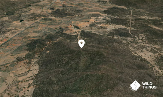 Mount Colinton