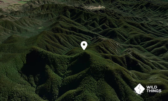 Mount Donovan