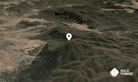 Mount Dowling