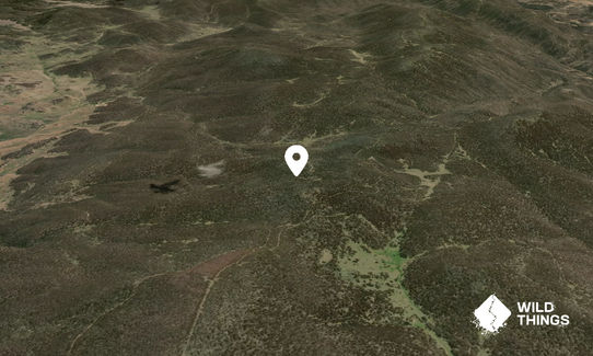 Mount Flinders