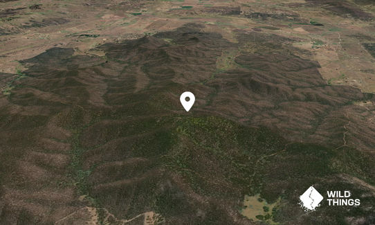 Mount Foxlow