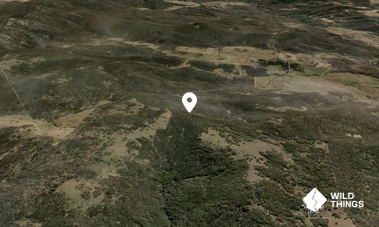 Mount Holland