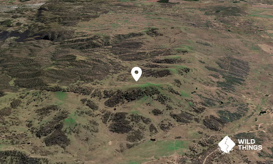 Mount Molonglo