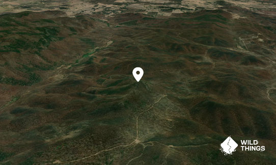 Mount Palerang