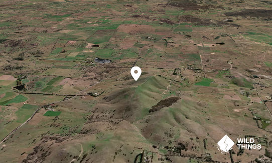 Mount Spring