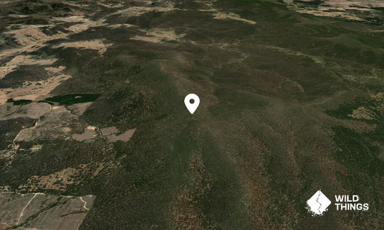 Mount Tumanang