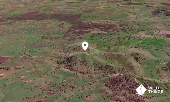 Nest Hill