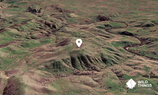 Nutter Hill