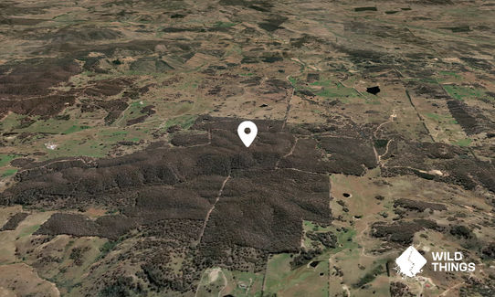 Piccaree Hill