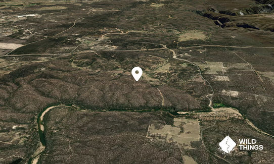 Purgatory Hill