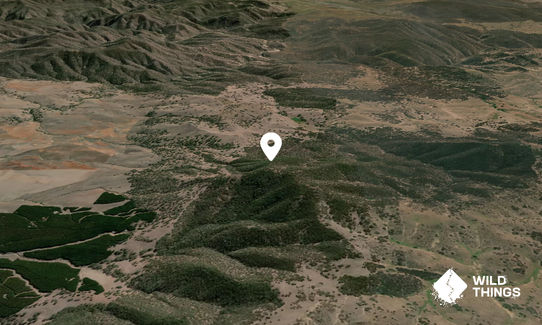 Round Hill