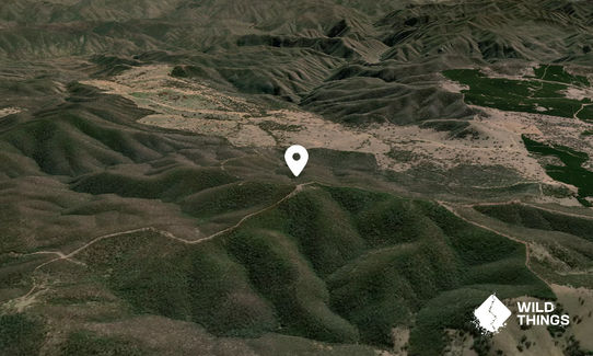 Spicer Hill