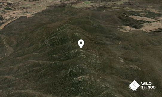 Tinderry Peak
