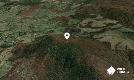 Tumbarumba Hill