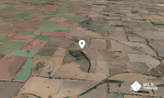 Burrumbuttock Hill
