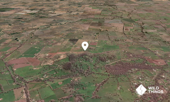 Red Hill