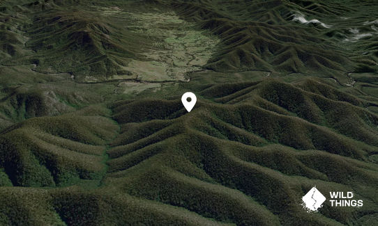 Barren Jumbo Mountain