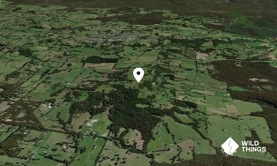Bells Hill