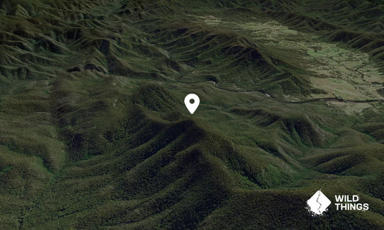 Belowra Mountain
