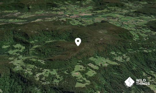 Browns Mountain