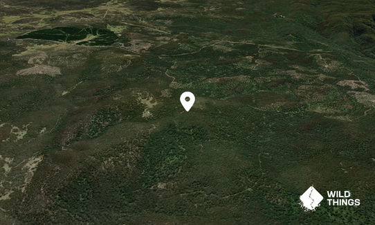 Bull Mountain