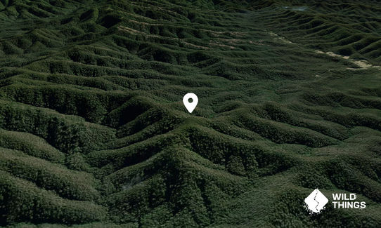 Cadgee Mountain
