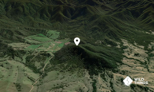Little Brown Mountain