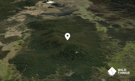 Middle Mountain