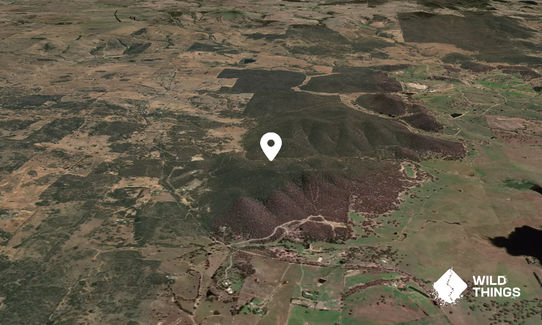 Mount Baw Baw