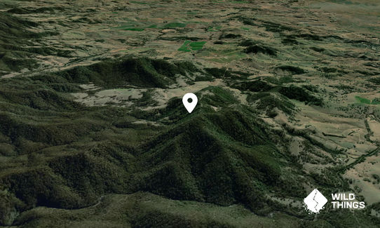 Mount Bobendoura