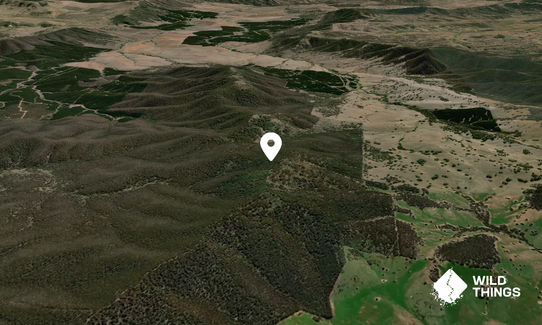 Mount Buckland