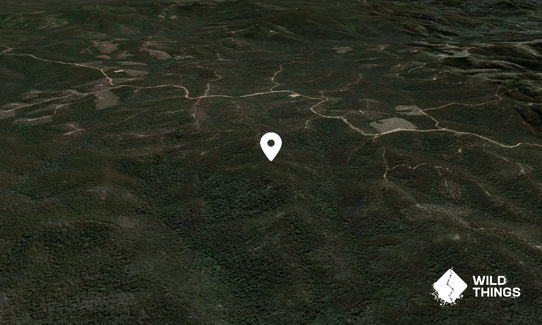 Mount Buckle