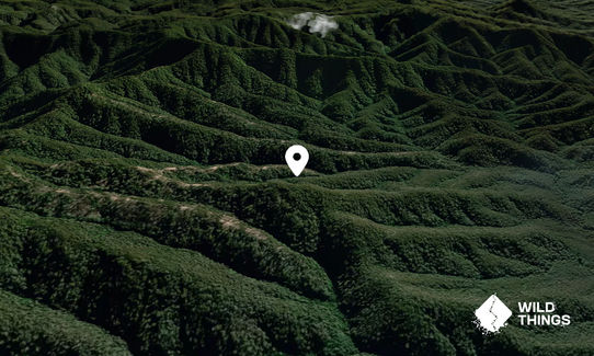Mount Coman