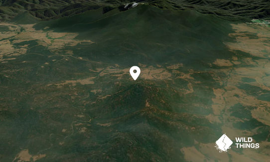 Mount Dumpling