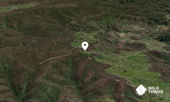Mount Guineacor