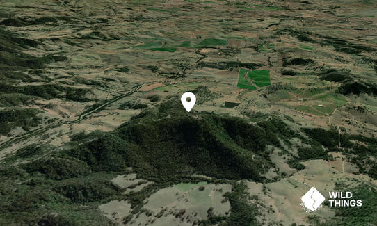 Mount Harriet