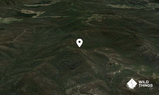 Mount Poole