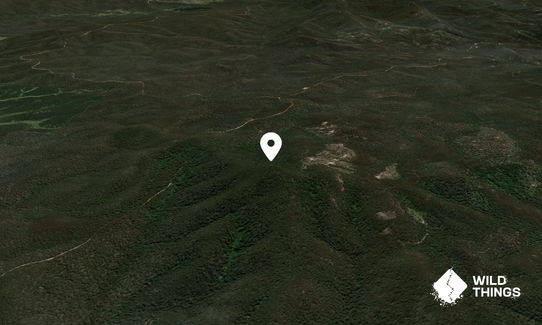 Mount Waalimma