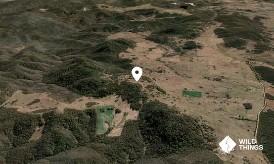 Mount Wangrah