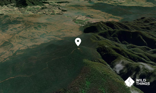 Mumbulla Mountain